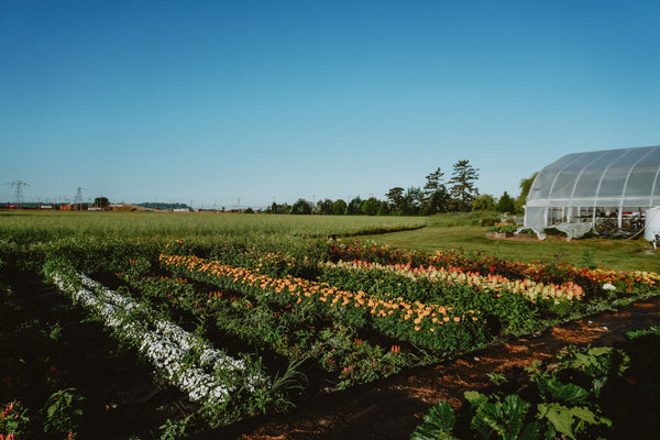 Farm Order Form