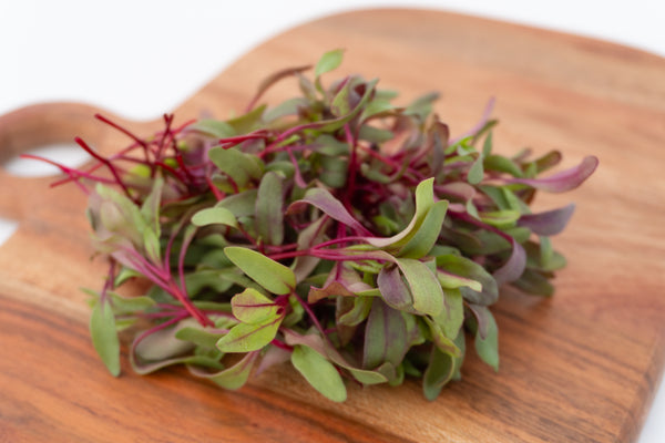Indoor Growing Quiz